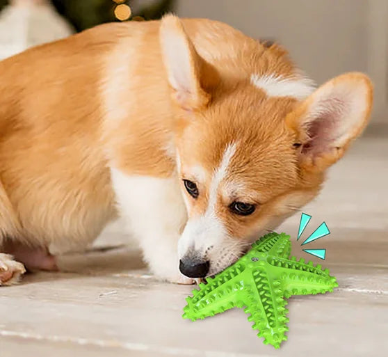 Starfish Dog Chew Toy