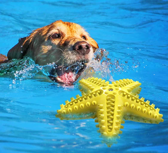 Starfish Dog Chew Toy