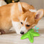 Starfish Dog Chew Toy