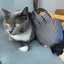 Pet Pal GroomEase Glove