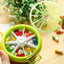 Portable Round Pill Organizer